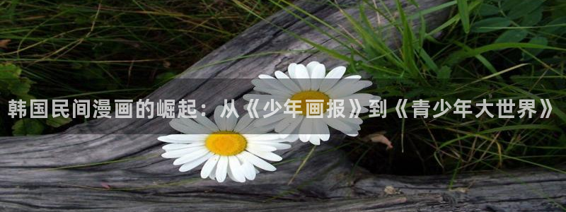 歪歪漫画免费网页版：韩国民间漫画的崛起：从《少年画报》到《青少年大世界》