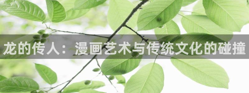 歪歪漫画sss漫画在线观看：龙的传人：漫画艺术与传统文化的碰撞