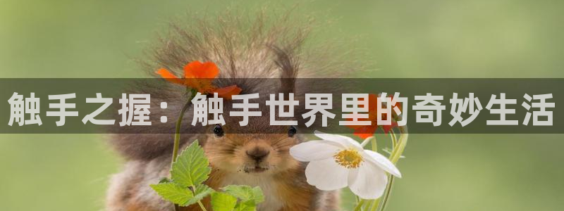 歪歪漫画网阅读：触手之握：触手世界里的奇妙生活