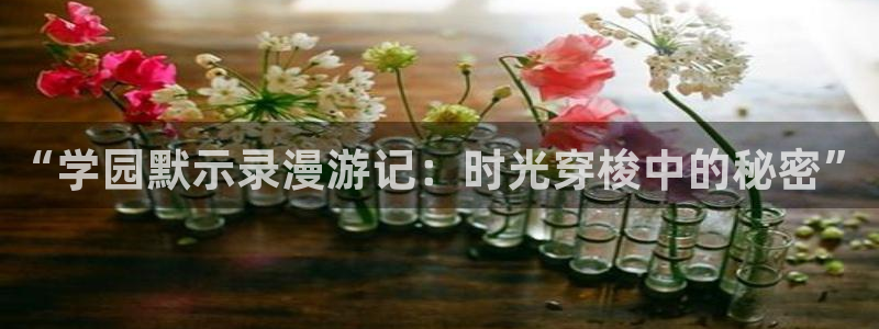 歪歪漫画无翼鸟：“学园默示录漫游记：时光穿梭中的秘密”